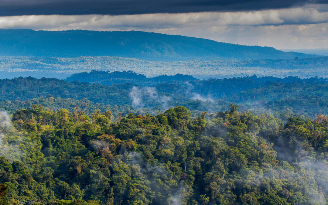 Expanding the Narupa Reserve