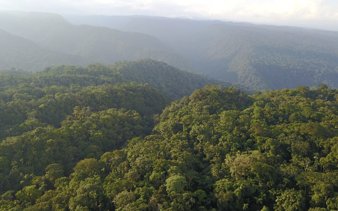 Establishing the Bigal/Payamino Corridor