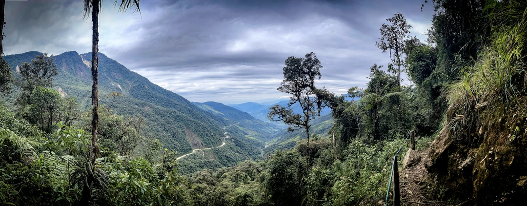 Protect threatened Andean cloud forest adjoining the Tapichalaca Reserve, Ecuador