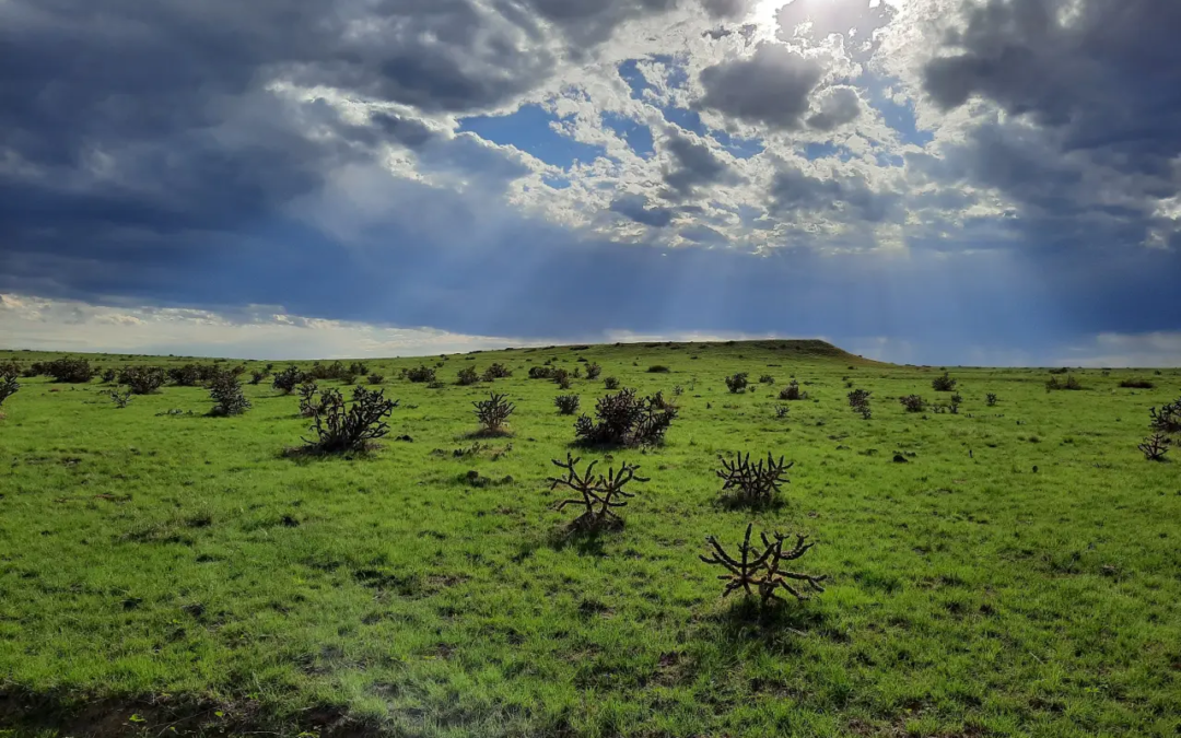Quick Response Fund for Nature helped to add 6,600 acres to Heartland Ranch