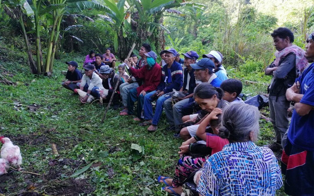 Protecting forest of life in a time of crisis