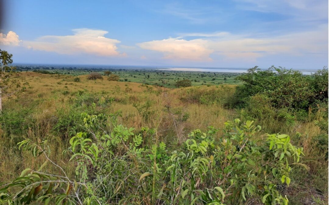 Land acquisition in Murchison Falls Conservation Areas helps protect endangered species in Uganda