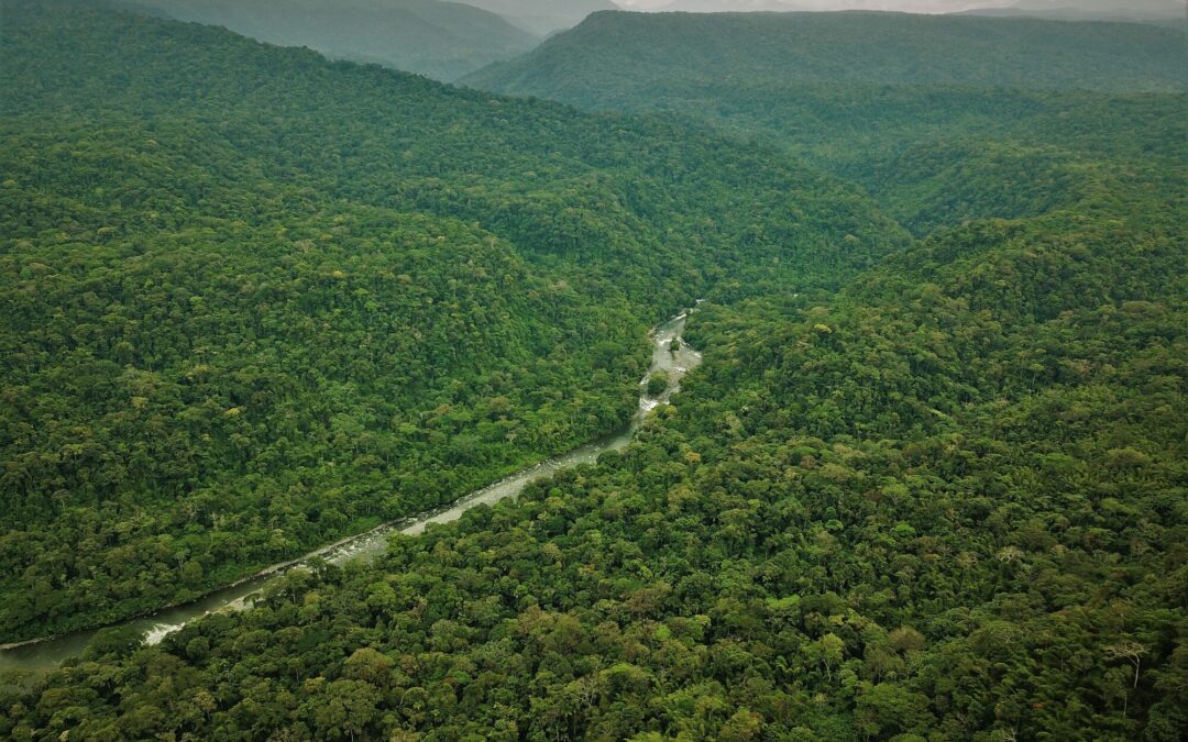 Expanding the Rio Bigal Biological Reserve