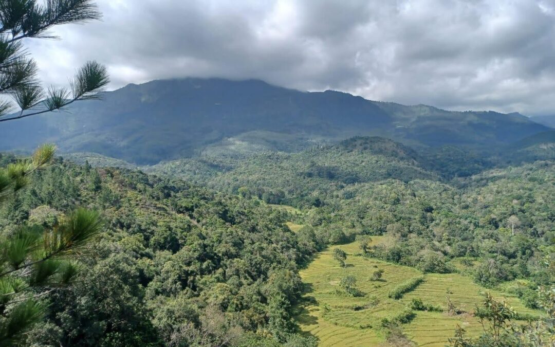 Expanding the Budunwela Forest Corridor