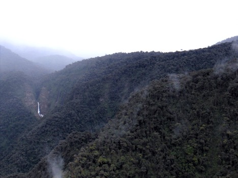 Protecting the Nelson Palacios Reserve