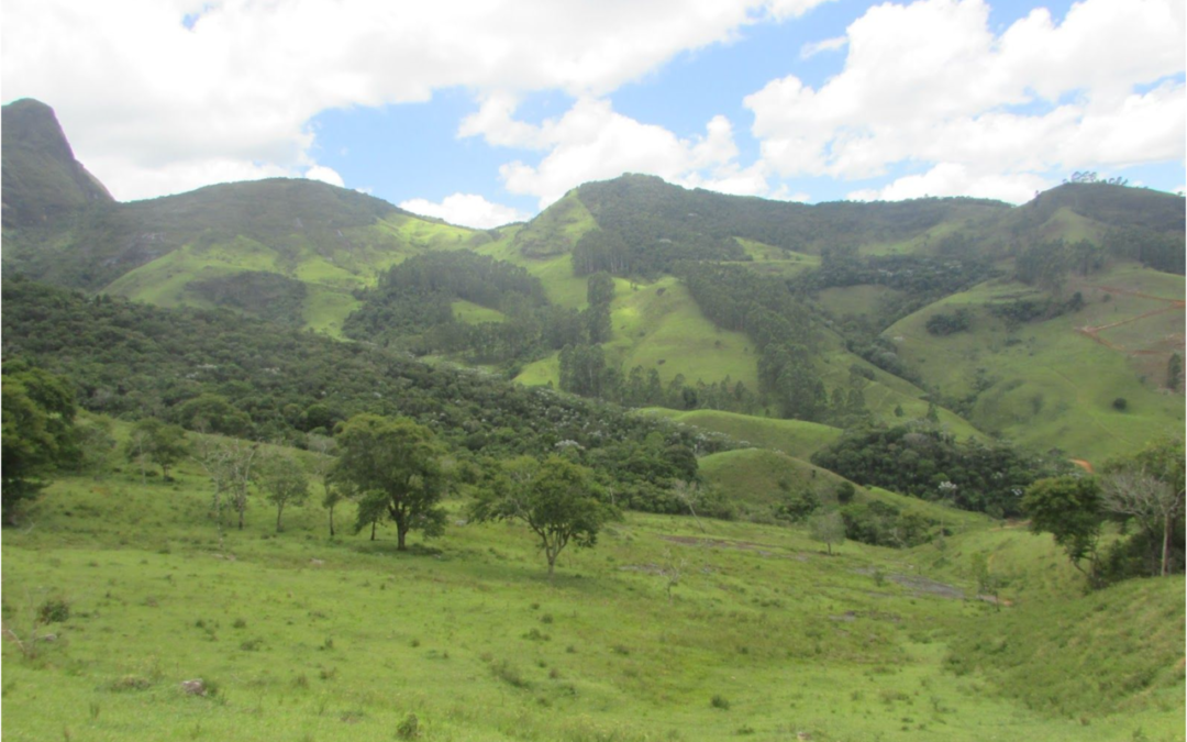 Serra da Graminha Conservation Project